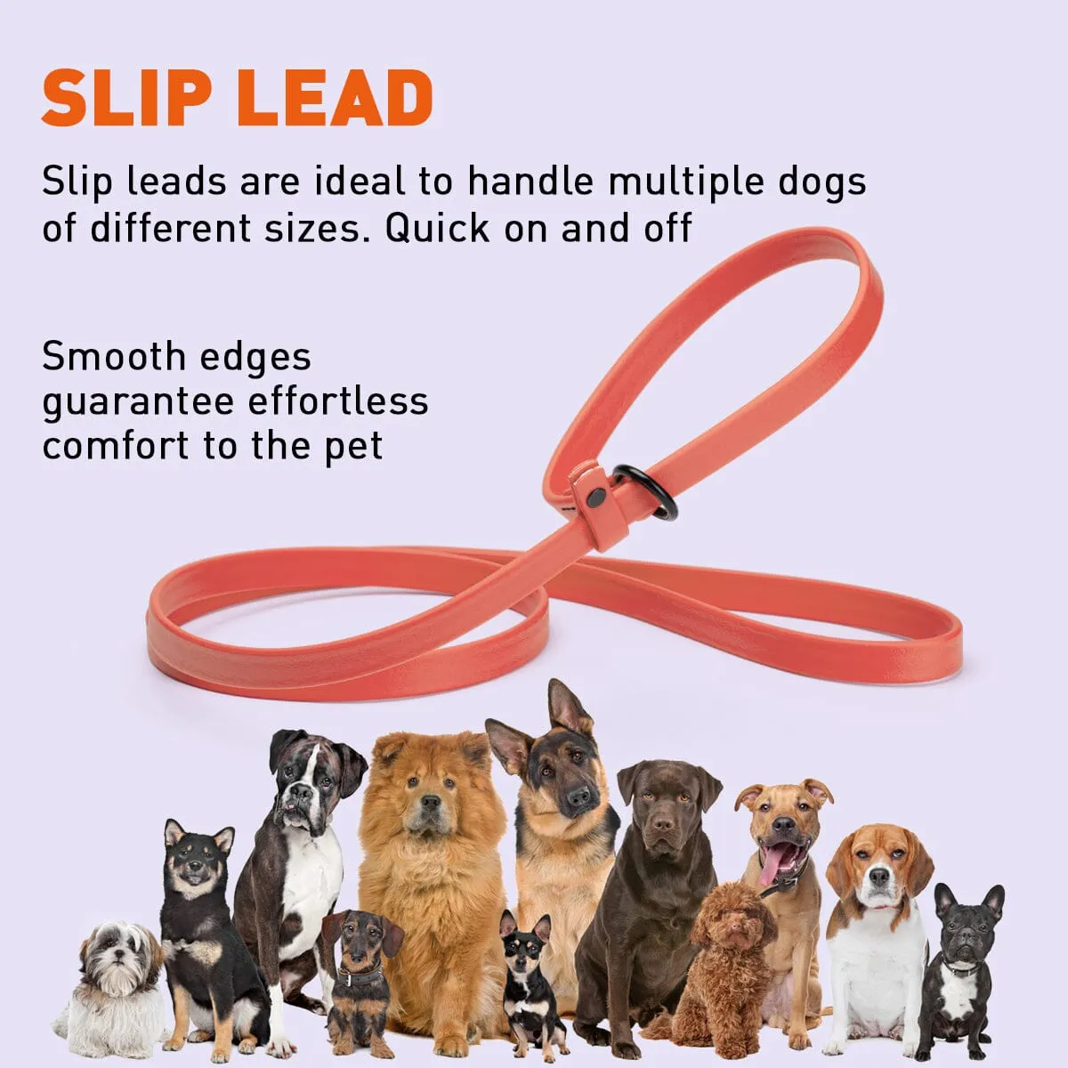 Biothane Slip Lead