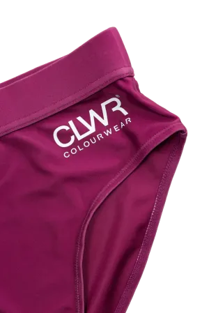 ColourWear Women&#x27;s High Waist Bikini Bottom Purple | Buy ColourWear Women&#x27;s High Waist Bikini Bottom Purple here | Outnorth