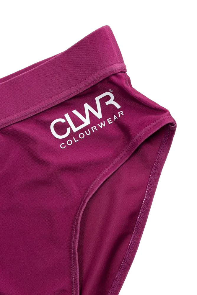 ColourWear Women&#x27;s High Waist Bikini Bottom Purple | Buy ColourWear Women&#x27;s High Waist Bikini Bottom Purple here | Outnorth